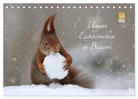 Unsere Eichhörnchen in Bayern (Tischkalender 2027 DIN A5 quer), CALVENDO Monatskalender