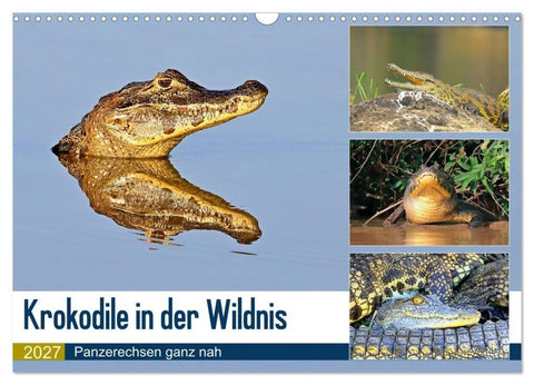 Krokodile in der Wildnis (Wandkalender 2027 DIN A3 quer), CALVENDO Monatskalender