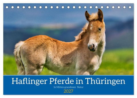 Haflinger Pferde in Thüringen (Tischkalender 2027 DIN A5 quer), CALVENDO Monatskalender