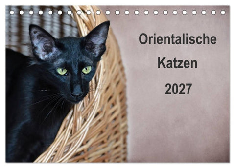 Orientalische Katzen (Tischkalender 2027 DIN A5 quer), CALVENDO Monatskalender