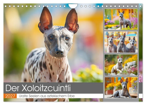 Der Xoloitzcuintli. Uralte Seelen aus aztekischem Erbe (Wandkalender 2027 DIN A4 quer), CALVENDO Monatskalender