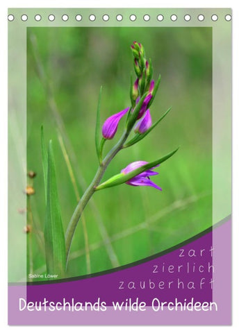 Deutschlands wilde Orchideen (Tischkalender 2026 DIN A5 hoch), CALVENDO Monatskalender