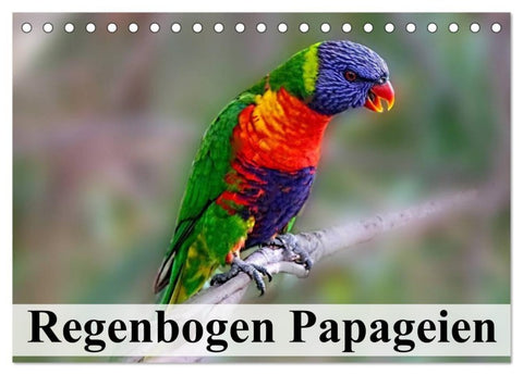 Regenbogen Papageien (Tischkalender 2027 DIN A5 quer), CALVENDO Monatskalender
