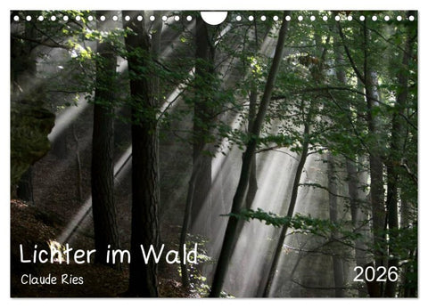Lichter im Wald (Wandkalender 2026 DIN A4 quer), CALVENDO Monatskalender