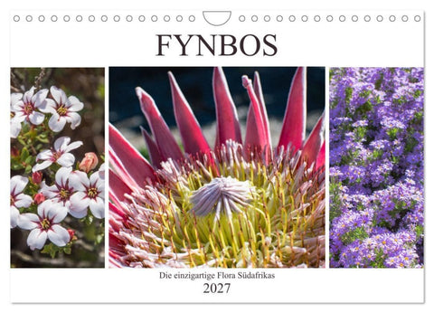 Fynbos - Die einzigartige Flora Südafrikas (Wandkalender 2027 DIN A4 quer), CALVENDO Monatskalender