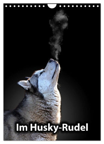 Im Husky-Rudel (Wandkalender 2027 DIN A4 hoch), CALVENDO Monatskalender