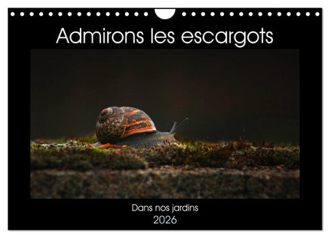 Admirons les escargots (Calendrier mural 2026 DIN A4 vertical), CALVENDO calendrier mensuel