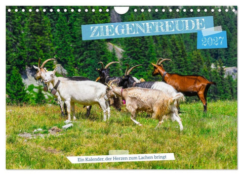 Ziegenfreude (Wandkalender 2027 DIN A4 quer), CALVENDO Monatskalender