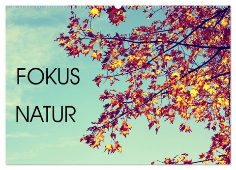 Focus Natur (Wandkalender 2026 DIN A2 quer), CALVENDO Monatskalender
