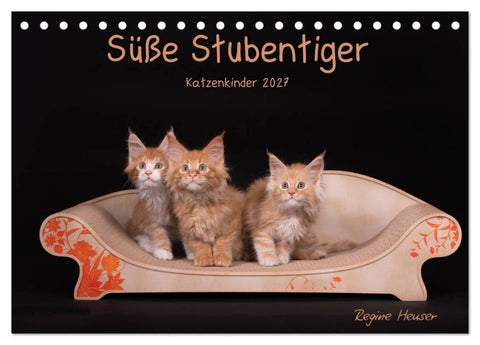 Süße Stubentiger - Katzenkinder (Tischkalender 2027 DIN A5 quer), CALVENDO Monatskalender