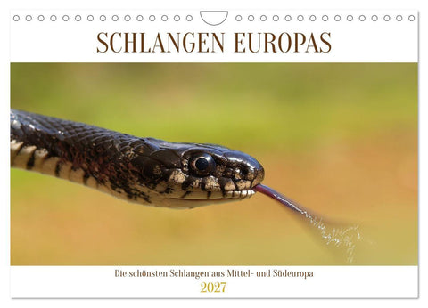 Schlangen Europas (Wandkalender 2027 DIN A4 quer), CALVENDO Monatskalender