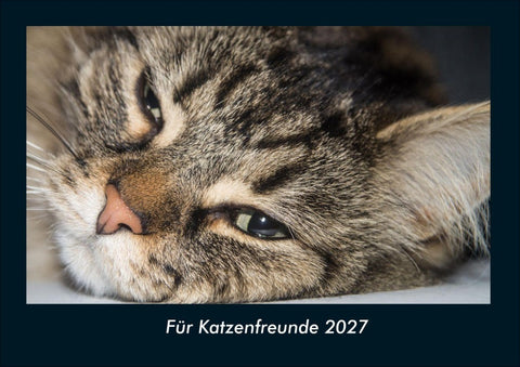 Für Katzenfreunde 2027 Fotokalender DIN A4