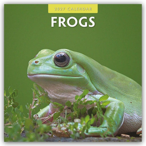 Frogs – Frosch – Frösche 2027 – 16-Monatskalender