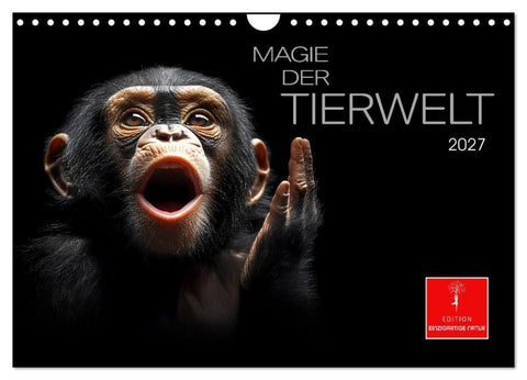 Magie der Tierwelt (Wandkalender 2027 DIN A4 quer), CALVENDO Monatskalender