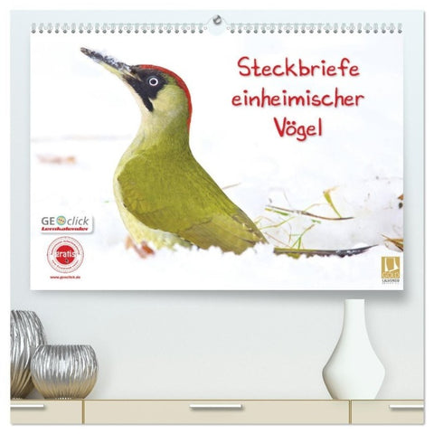 Steckbriefe einheimischer Vögel (hochwertiger Premium Wandkalender 2027 DIN A2 quer), Kunstdruck in Hochglanz