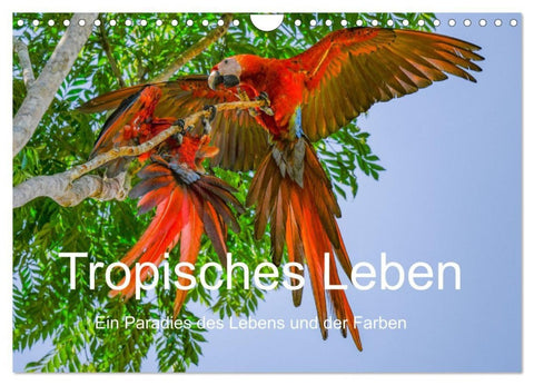 Tropisches Leben Ein Paradies des Lebens und der Farben (Wandkalender 2027 DIN A4 quer), CALVENDO Monatskalender