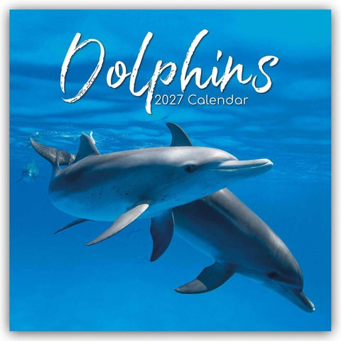 Dolphins – Delfine – Delphine 2027 – 16-Monatskalender