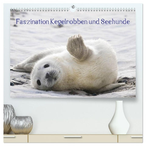 Faszination Kegelrobben und Seehunde 2027 (hochwertiger Premium Wandkalender 2027 DIN A2 quer), Kunstdruck in Hochglanz