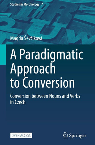 A Paradigmatic Approach to Conversion