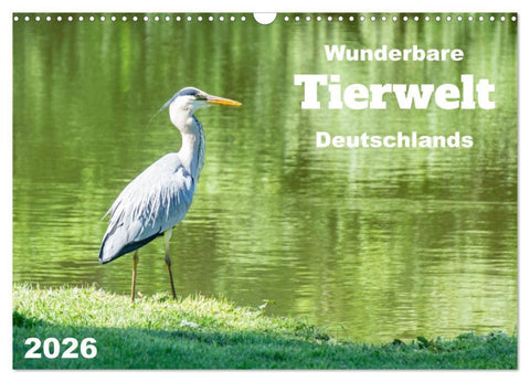 Wunderbare Tierwelt Deutschlands (Wandkalender 2026 DIN A3 quer), CALVENDO Monatskalender
