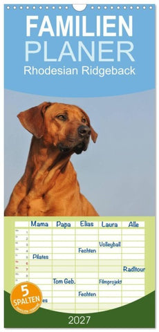 Familienplaner 2027 - Rhodesian Ridgeback 2027 mit 5 Spalten (Wandkalender, 21 x 45 cm) CALVENDO