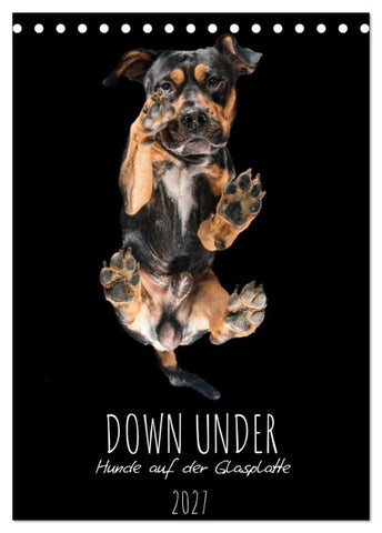 Down Under - Hunde auf der Glasplatte (Tischkalender 2027 DIN A5 hoch), CALVENDO Monatskalender