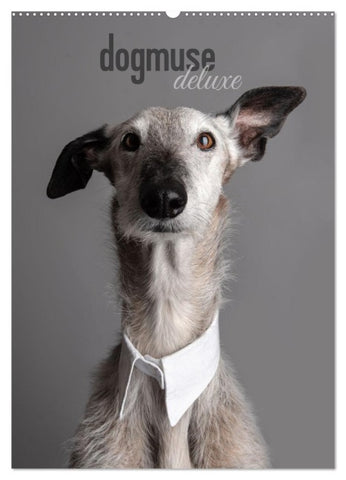dogmuse deluxe (Wandkalender 2027 DIN A2 hoch), CALVENDO Monatskalender