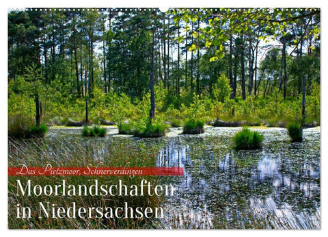 Niedersachsens Moorlandschaften - Das Pietzmoor, Schneverdingen (Wandkalender 2027 DIN A2 quer), CALVENDO Monatskalender