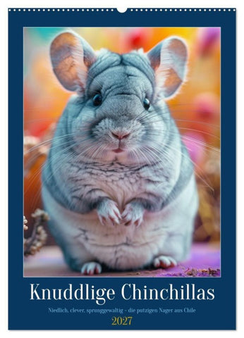 Knuddlige Chinchillas (Wandkalender 2027 DIN A2 hoch), CALVENDO Monatskalender