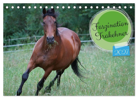 Faszination Trakehner (Tischkalender 2027 DIN A5 quer), CALVENDO Monatskalender