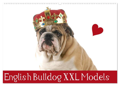 English Bulldog XXL Models (Wandkalender 2026 DIN A2 quer), CALVENDO Monatskalender