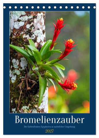 Bromelienzauber (Tischkalender 2027 DIN A5 hoch), CALVENDO Monatskalender