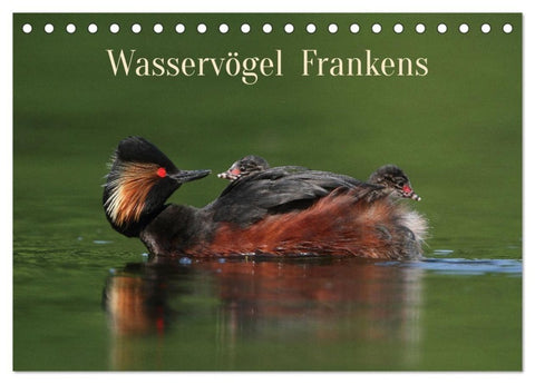 Wasservögel Frankens (Tischkalender 2027 DIN A5 quer), CALVENDO Monatskalender