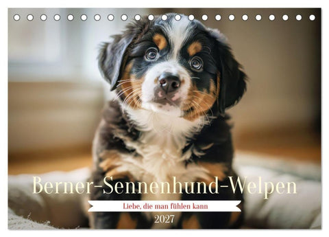 Berner-Sennenhund-Welpen (Tischkalender 2027 DIN A5 quer), CALVENDO Monatskalender