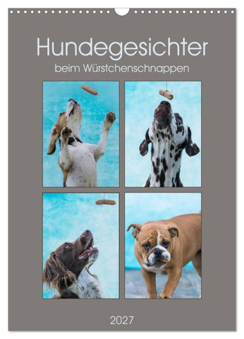 Hundegesichter beim Würstchenschnappen (Wandkalender 2027 DIN A3 hoch), CALVENDO Monatskalender