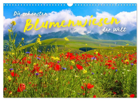 Die schönsten Blumenwiesen der Welt (Wandkalender 2027 DIN A3 quer), CALVENDO Monatskalender