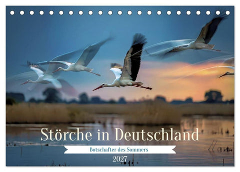 Störche in Deutschland (Tischkalender 2027 DIN A5 quer), CALVENDO Monatskalender