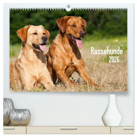 Rassehunde (hochwertiger Premium Wandkalender 2026 DIN A2 quer), Kunstdruck in Hochglanz