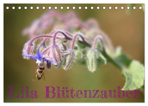 Lila Blütenzauber (Tischkalender 2027 DIN A5 quer), CALVENDO Monatskalender