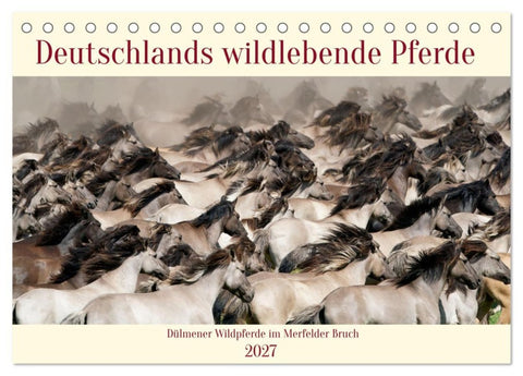 Deutschlands wildlebende Pferde (Tischkalender 2027 DIN A5 quer), CALVENDO Monatskalender
