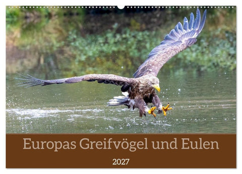 Europas Greifvögel und Eulen (Wandkalender 2027 DIN A2 quer), CALVENDO Monatskalender