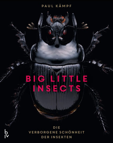 Big Little Insects
