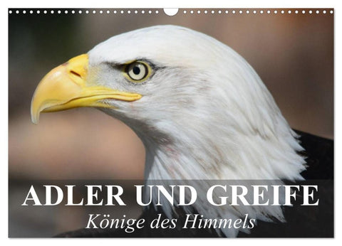 Adler und Greife - Könige des Himmels (Wandkalender 2026 DIN A3 quer), CALVENDO Monatskalender