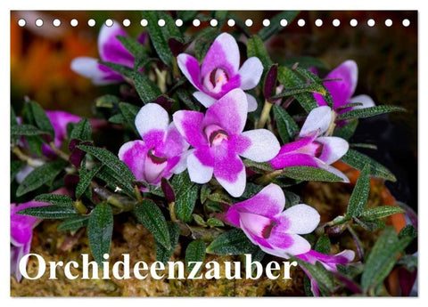 Orchideenzauber (Tischkalender 2027 DIN A5 quer), CALVENDO Monatskalender