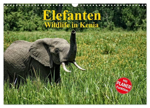 Elefanten. Wildlife in Kenia (Wandkalender 2027 DIN A3 quer), CALVENDO Monatskalender