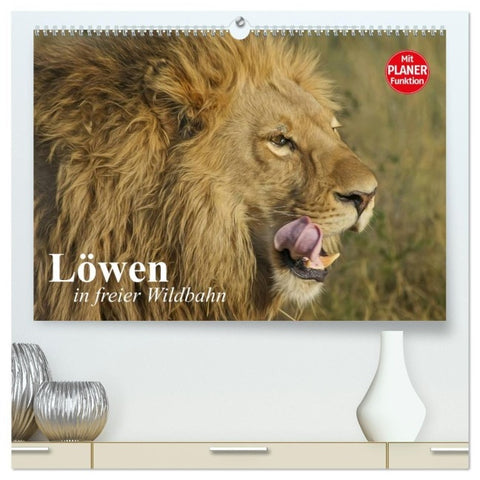 Löwen in freier Wildbahn (hochwertiger Premium Wandkalender 2027 DIN A2 quer), Kunstdruck in Hochglanz