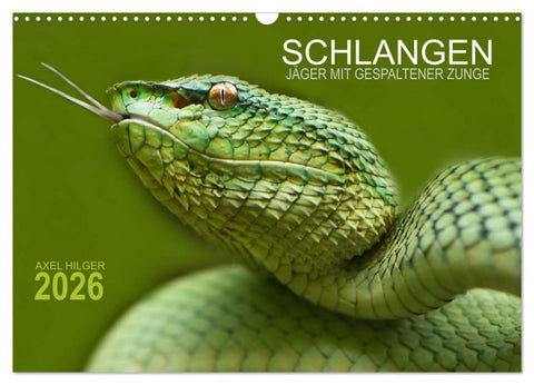 SCHLANGEN. JÄGER MIT GESPALTENER ZUNGE (Wandkalender 2026 DIN A3 quer), CALVENDO Monatskalender