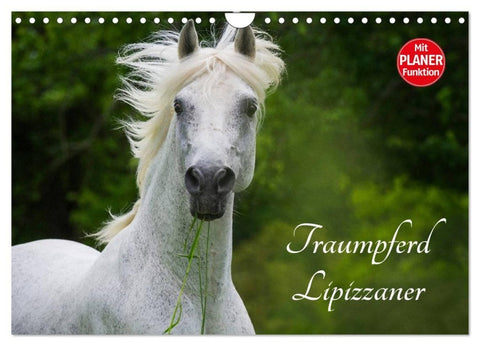 Traumpferd Lipizzaner (Wandkalender 2027 DIN A4 quer), CALVENDO Monatskalender