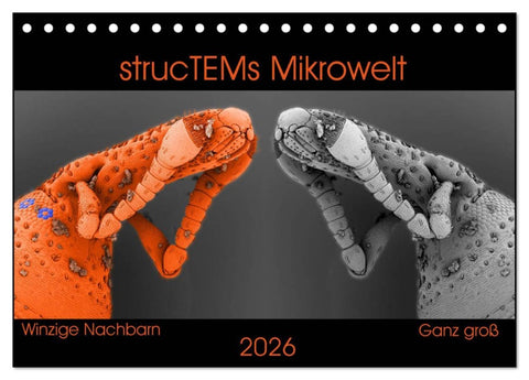strucTEMs Mikrowelt - Winzige Nachbarn ganz groß (Tischkalender 2026 DIN A5 quer), CALVENDO Monatskalender