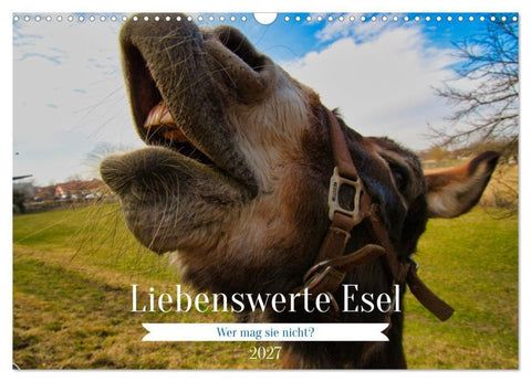 Liebenswerte Esel (Wandkalender 2027 DIN A3 quer), CALVENDO Monatskalender
